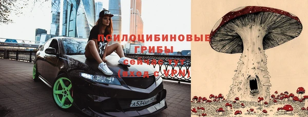 прущая мука Абдулино